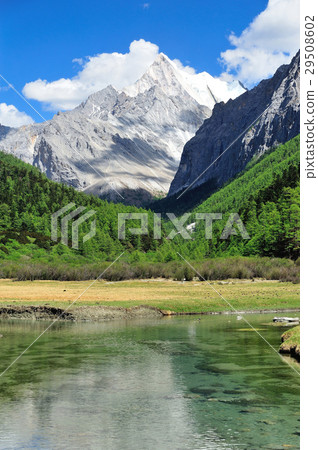 Tibet snow mountain with river Tibet snow mountain with river 29508602