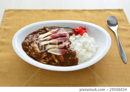 Hokkaido Tomakomai style hockey curry 29508834