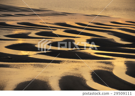 The coast of Okoko 29509111