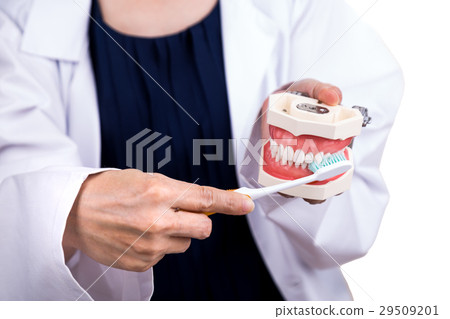 Series of dentist show method of brushing teeth Series of dentist show method of brushing teeth 29509201