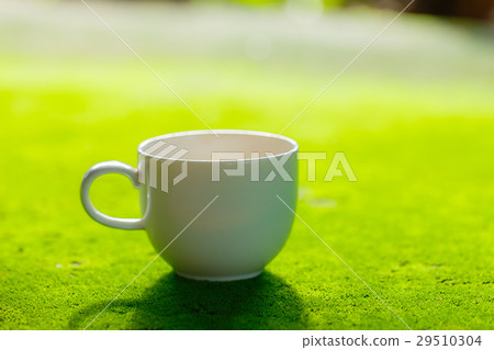 Coffee cup on Moss surface Coffee cup on Moss surface 29510304