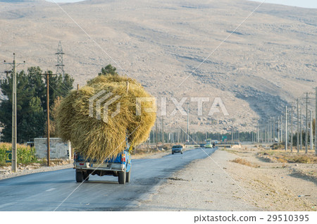 Truck loaded with straw bales on country road 29510395