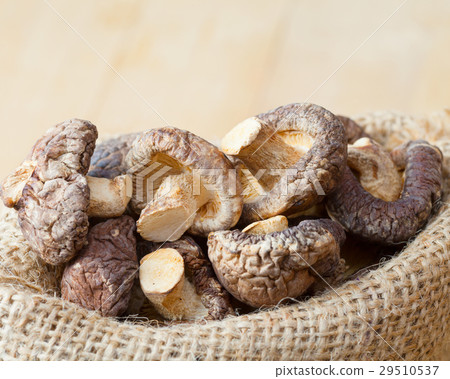 shiitake mushroom in hessian bag shiitake mushroom in hessian bag 29510537