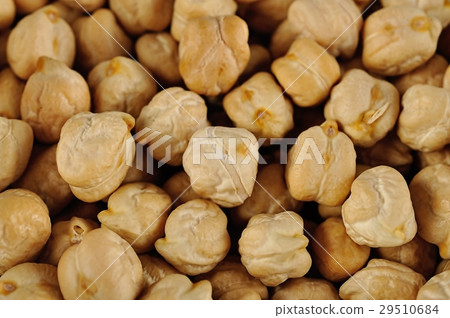garbanzo beans background garbanzo beans background 29510684