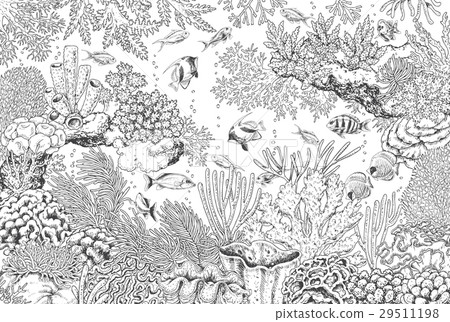 Underwater Landscape with Corals and Fishes 29511198
