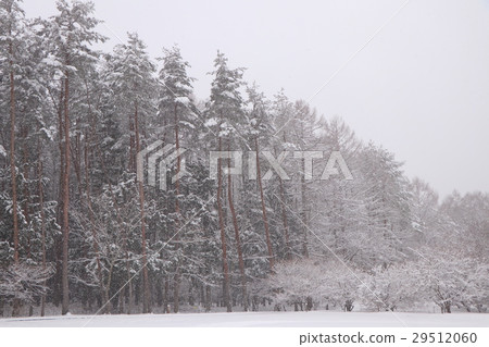 雪景 29512060