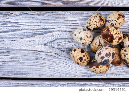 Pile of quail eggs. Pile of quail eggs. 29514561