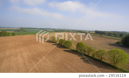 Aerial of agricultural fields in rural countryside 29516119