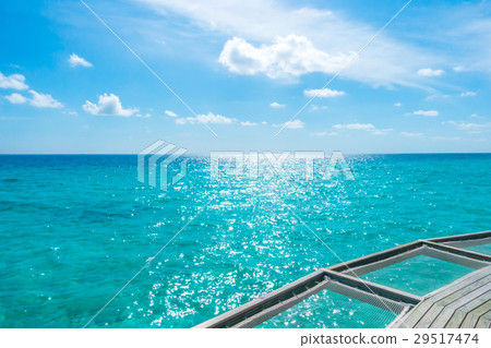 Vacation net seat in tropical Maldives island and beauty of the sea with the coral reefs . 29517474