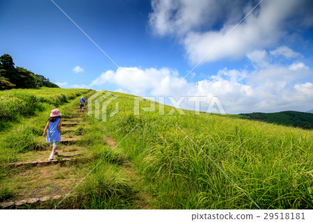 Kawachi Pass @長野縣平戶市 29518181