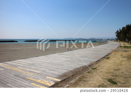 海 海 29518428