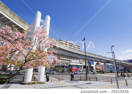 Intersection of Osone Station on Higashi-ku Nagoya City and Kawazu Zakura Intersection of Osone Station on Higashi-ku Nagoya City and Kawazu Zakura 29518436