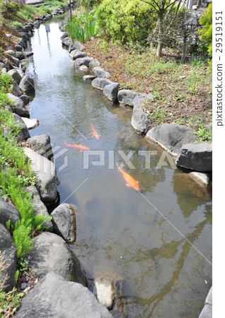 Ichinoosaki River Water Park Ichinoosaki River Water Park 29519151