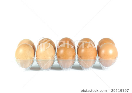 Eggs in the plastic panel on white background Eggs in the plastic panel on white background 29519597
