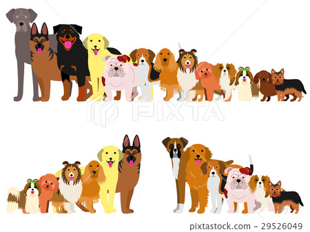 Border of dogs arranged in order of height 29526049