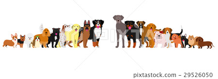 Border of dogs arranged in order of height 29526050