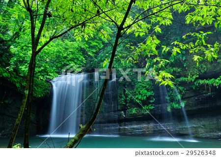 望古瀑布,瀑布,流水,溪流,溪谷,鮮綠 29526348