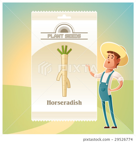Pack of Horseradish seeds icon 29526774