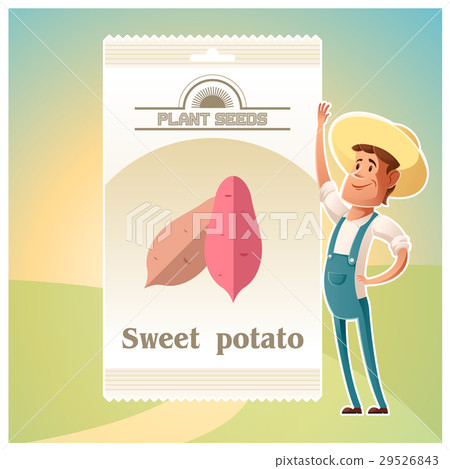 Pack of Sweet potato seeds 29526843