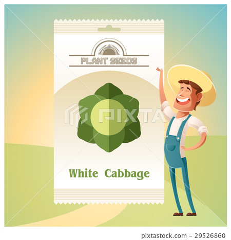 Pack of White Cabbage seeds Pack of White Cabbage seeds 29526860