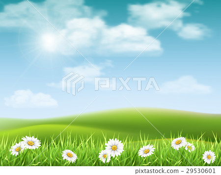 landscape with chamomile hills - Stock Illustration [29530601] - PIXTA