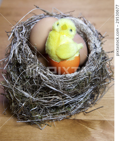 toy chicken sits in a nest on Easter eggs toy chicken sits in a nest on Easter eggs 29530677