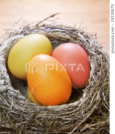 bright Easter eggs in a nest 29530679