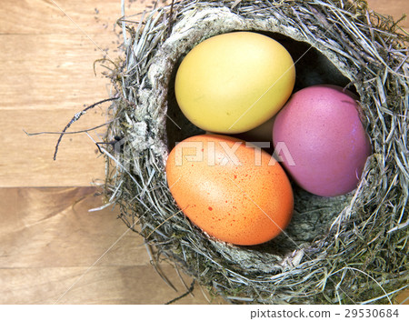 bright Easter eggs in a nest 29530684