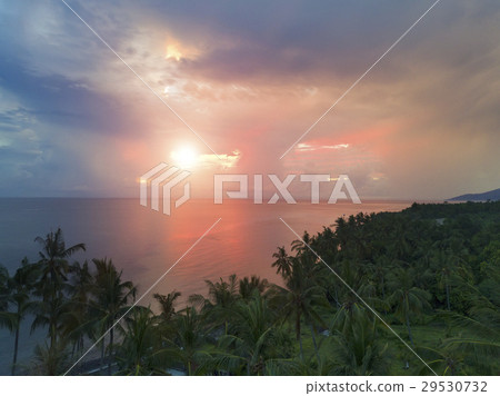 Aerial view from drone on palm trees and the sea o 29530732