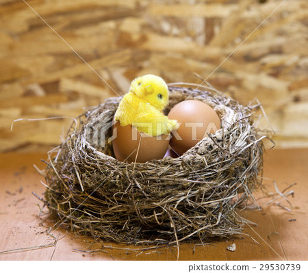 Toy chicken in a shell of egg in a nest with eggs. Toy chicken in a shell of egg in a nest with eggs. 29530739