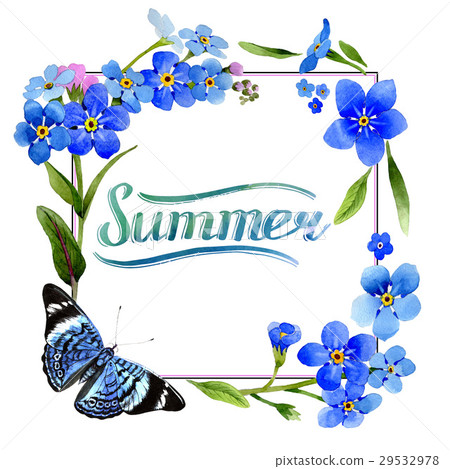 Wildflower myosotis arvensis flower frame in a 29532978