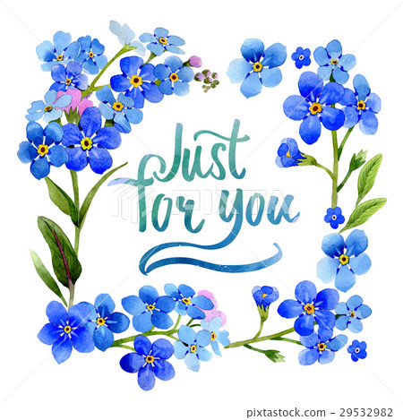Wildflower myosotis arvensis flower frame in a Wildflower myosotis arvensis flower frame in a 29532982