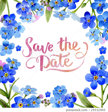 Wildflower myosotis arvensis flower frame in a 29532993