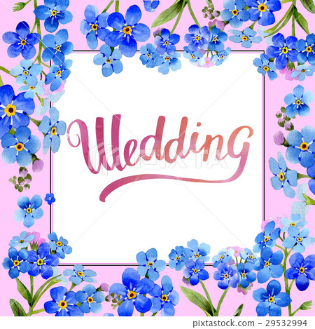 Wildflower myosotis arvensis flower frame in a 29532994