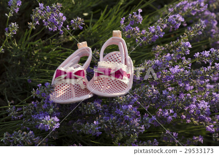 lavender baby shoes