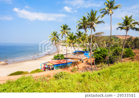 Beach in Goa, India 29533581