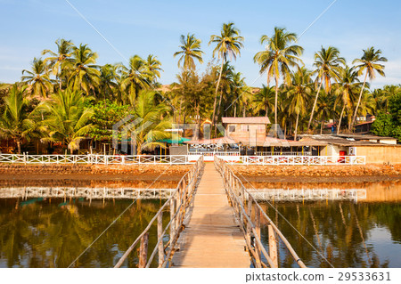 Mandrem beach Goa India Mandrem beach Goa India 29533631