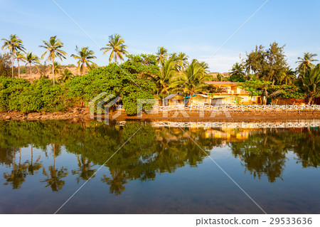Mandrem beach Goa India 29533636