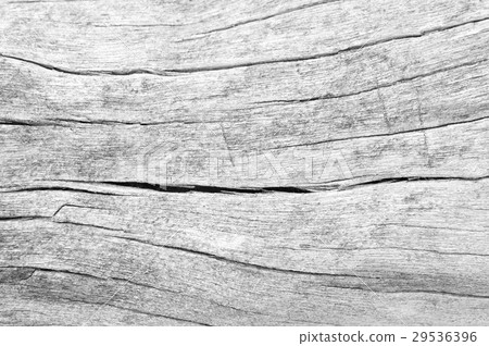 texture of bark wood use as natural background texture of bark wood use as natural background 29536396