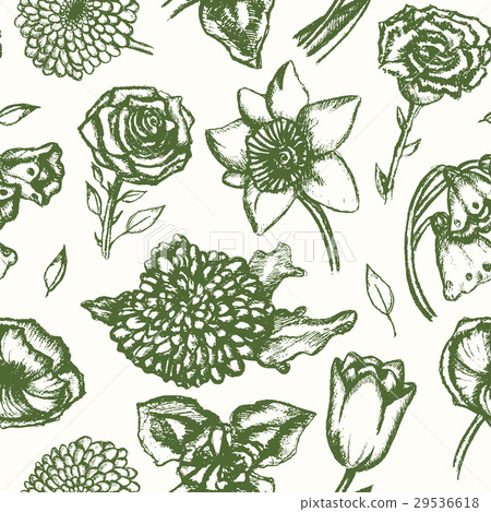 Beautiful Flowers - monochromatic hand drawn 29536618