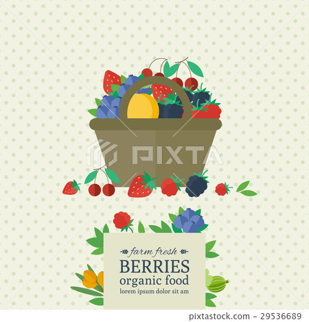 Banner with fresh berries and fruits 29536689