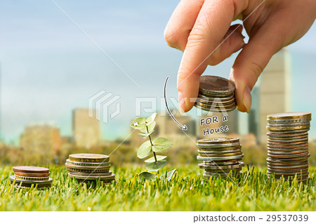The columns of coins on grass The columns of coins on grass 29537039