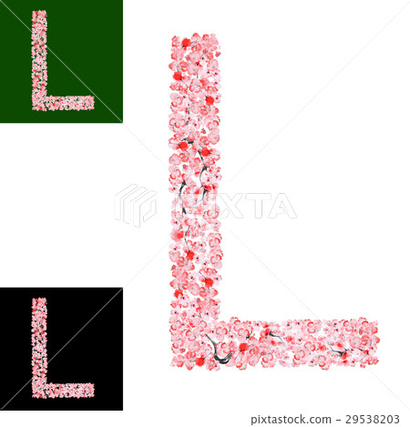 Sakura Flower Alphabet 29538203