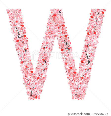 Sakura Flower Alphabet 29538223