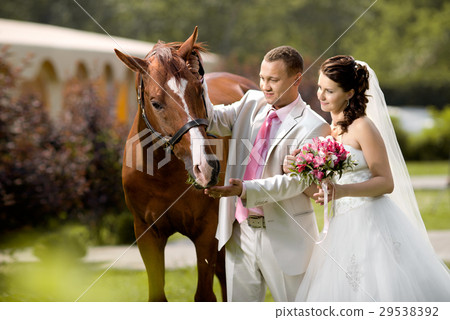 newly married couple 29538392