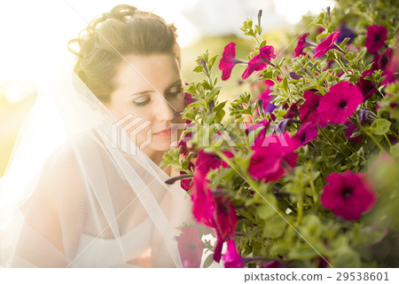 beautiful fiancee 29538601