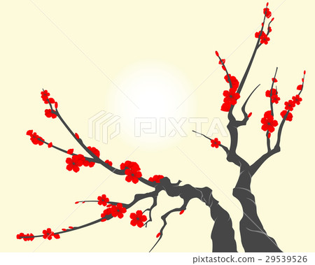 Sakura blossom branch, with cherry flowers 29539526