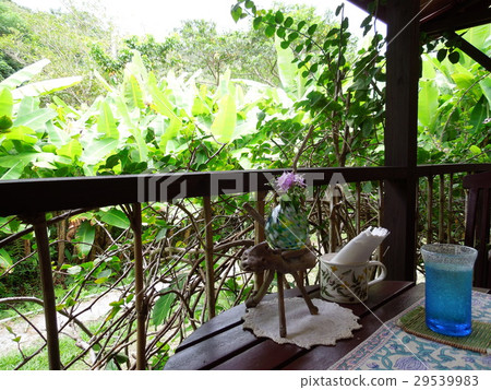 Cafe in the forest 29539983