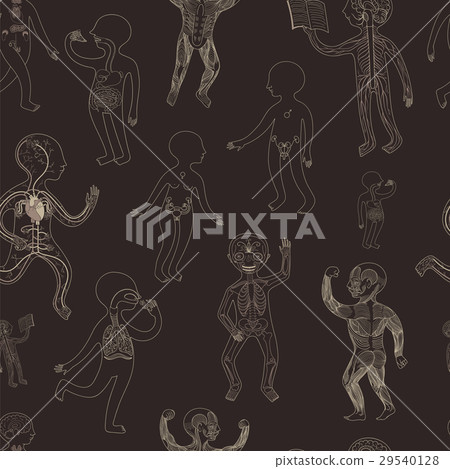 seamless pattern with contour  human anatomy 29540128