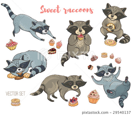 Vector set of cute raccoons with cakes Vector set of cute raccoons with cakes 29540137